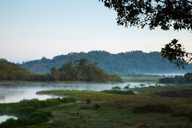 Cat Tien is the closest national park to Ho Chi Minh City (Anders Blomqvist / Alamy Stock Photo)