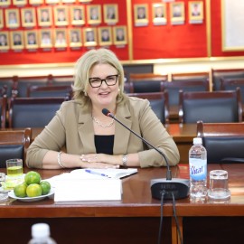 Ms. Karen Dalkie, Vice President for Development and Partnerships at CBIE, at the meeting.